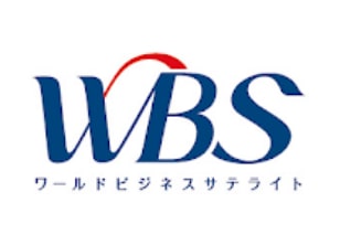 WBS